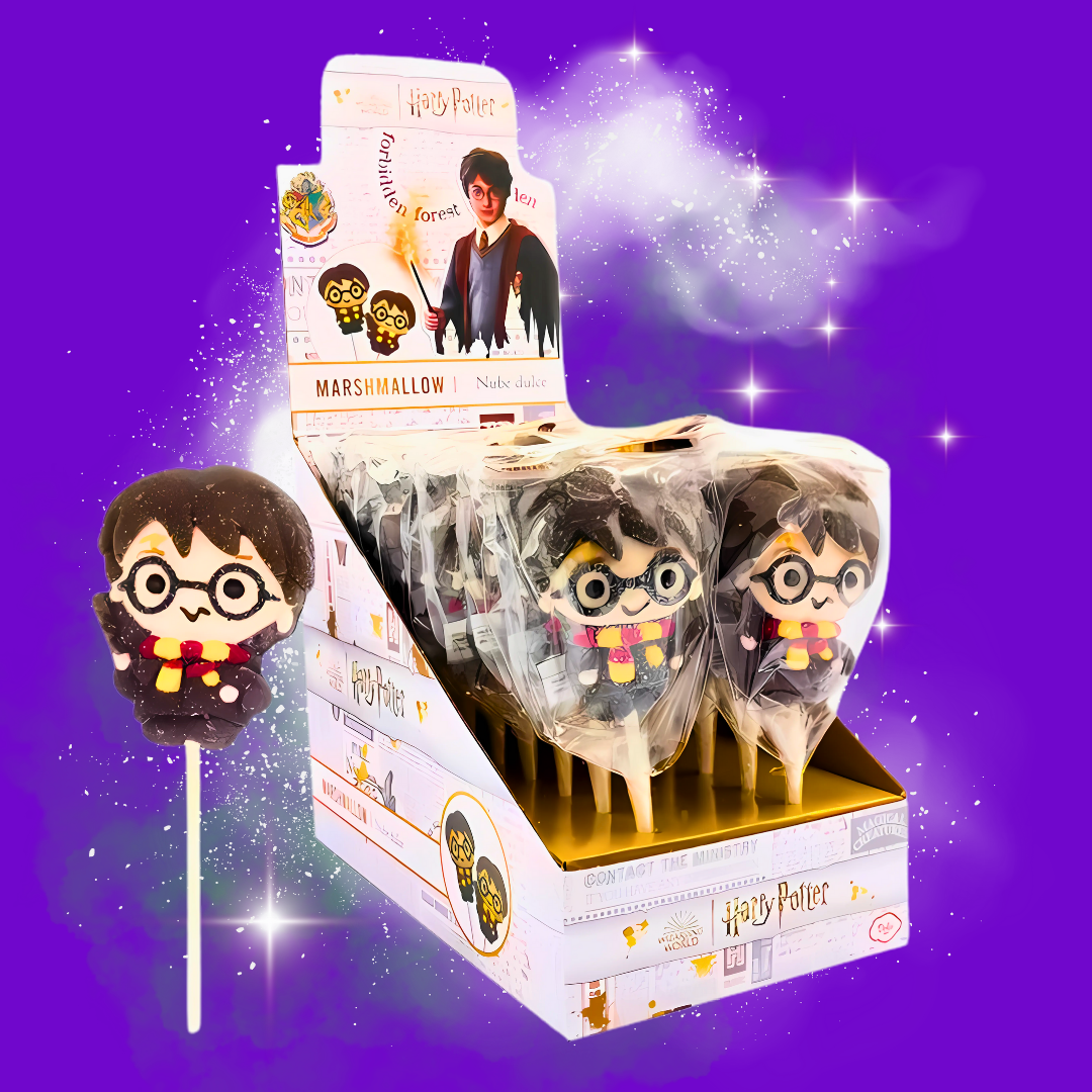 Box Découverte Harry Potter